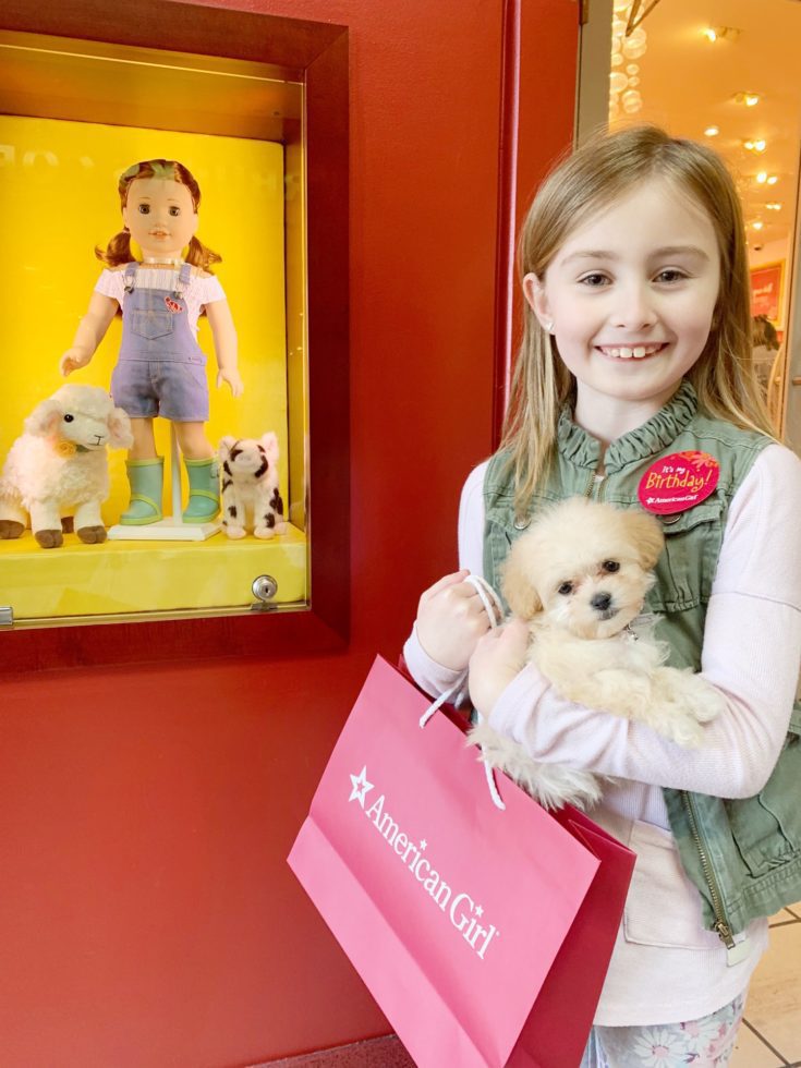 Image for American Girl Birthday Surprise