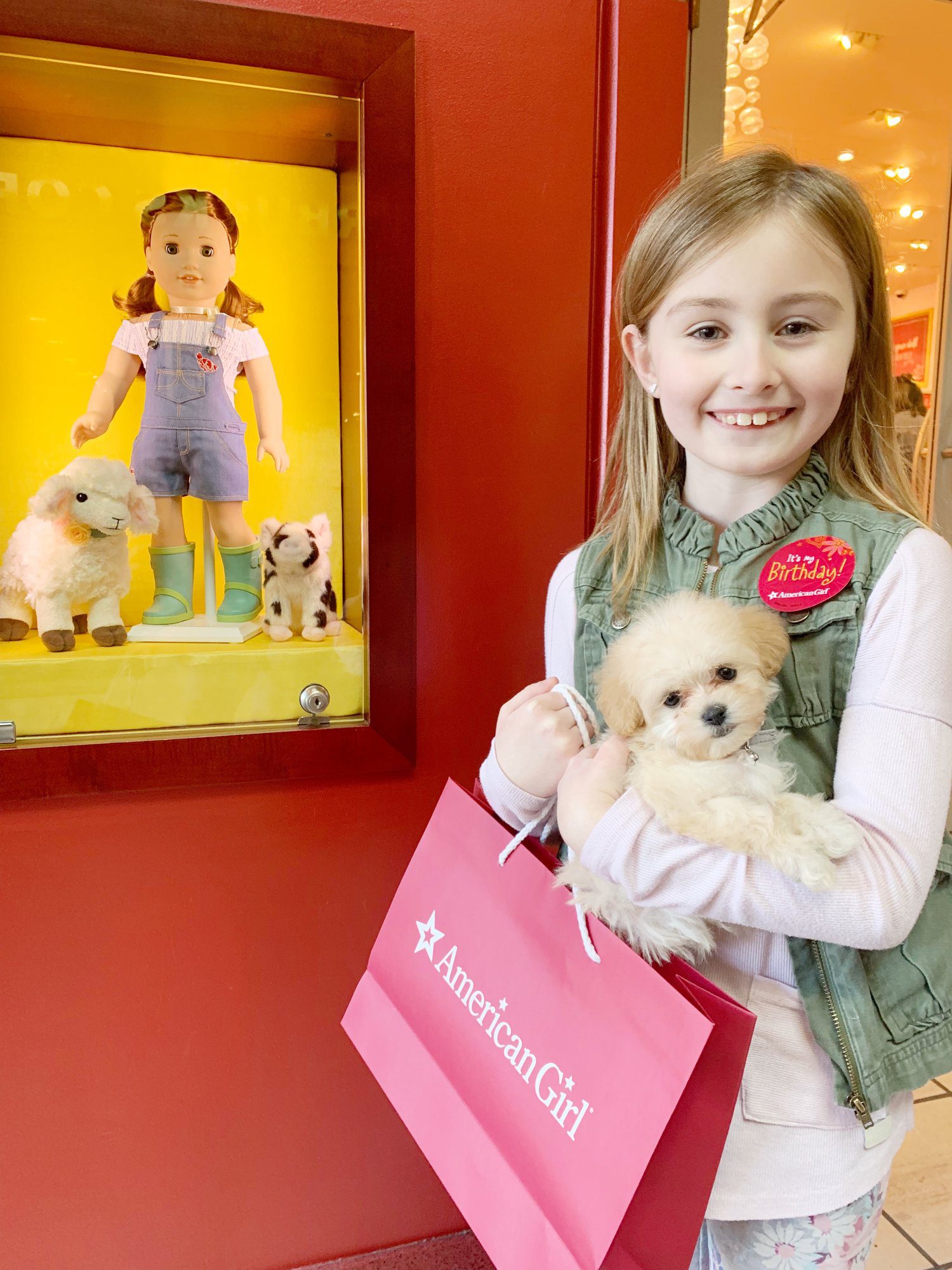 American Girl Birthday Surprise