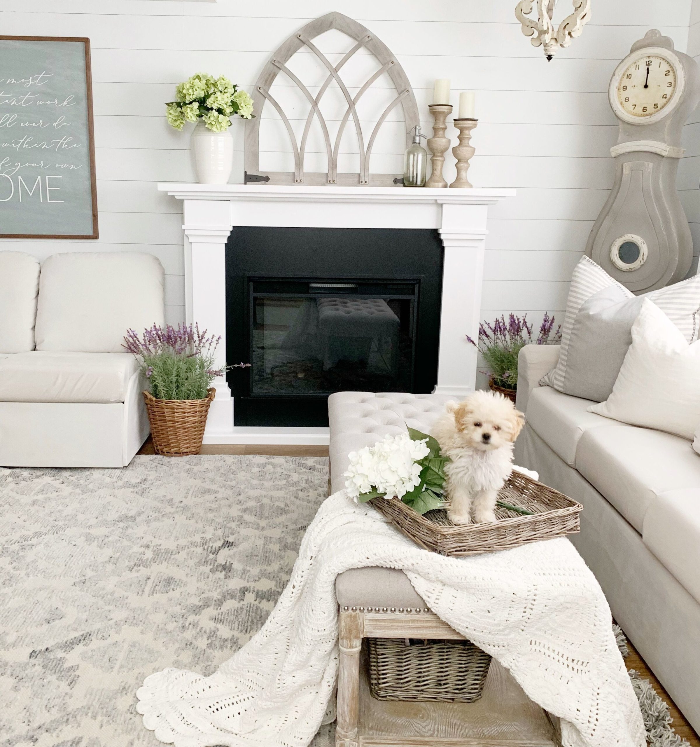 Spring Living Room Refresh with Bed Bath & Beyond