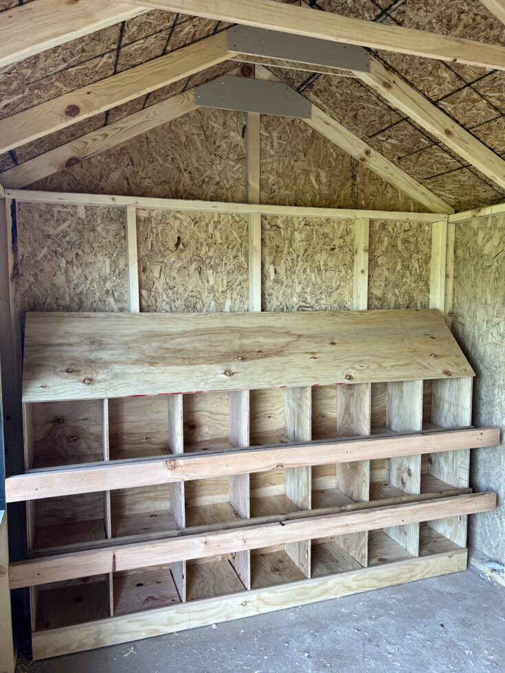 Image for DIY Nesting Box - Extra Large