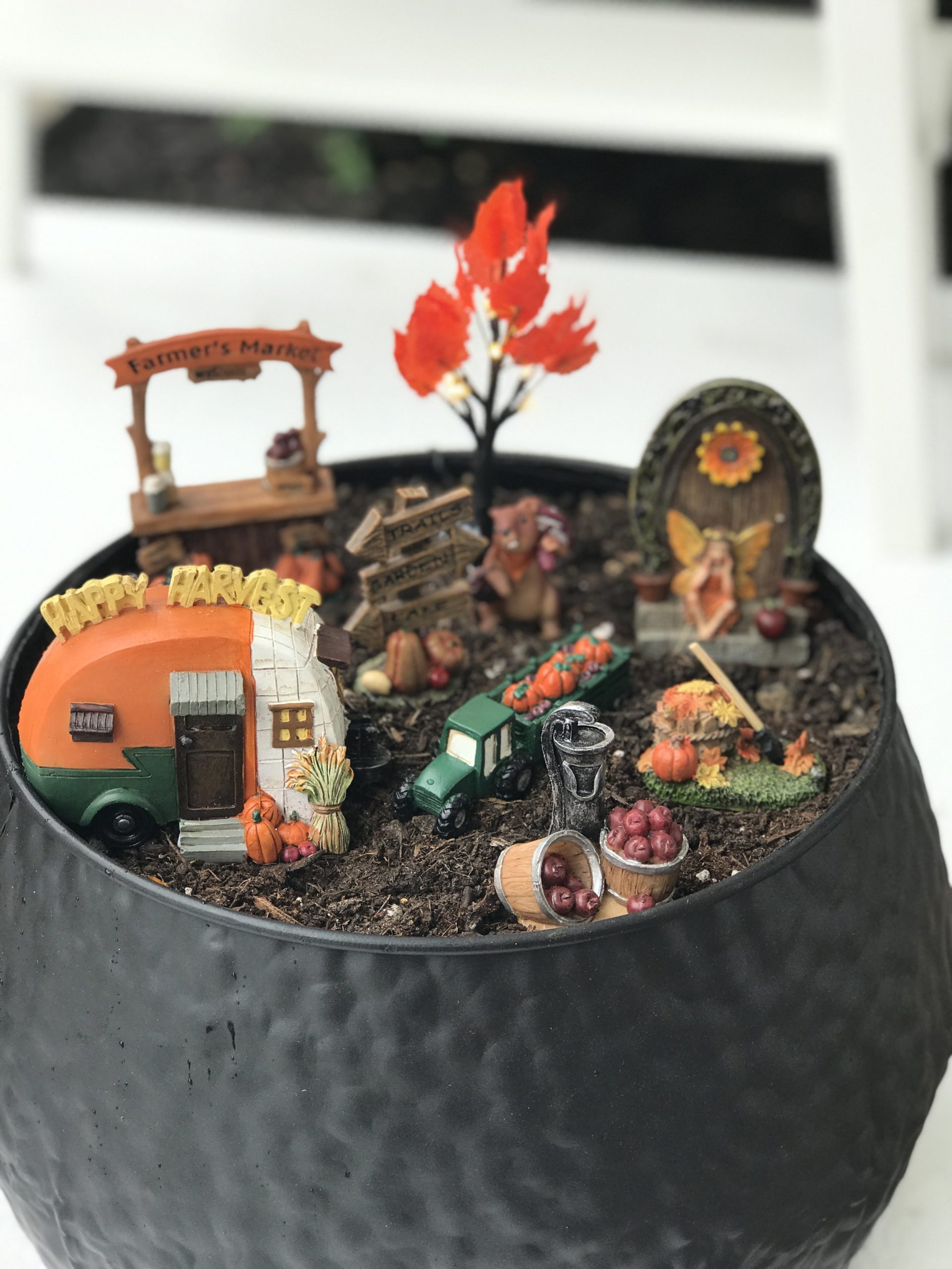 DIY Fall Fairy Garden