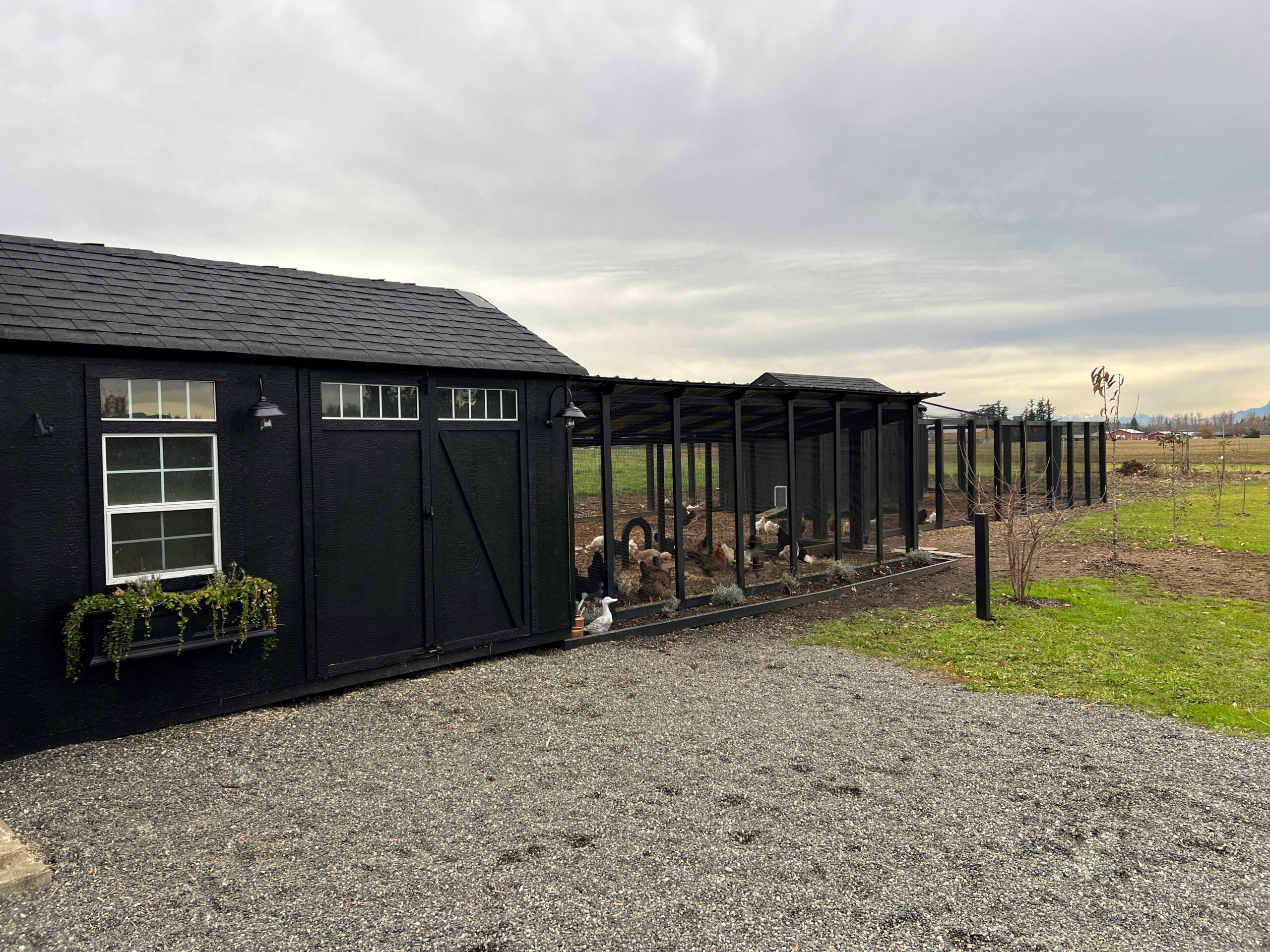 Chicken Coop and Extra Large Chicken Run